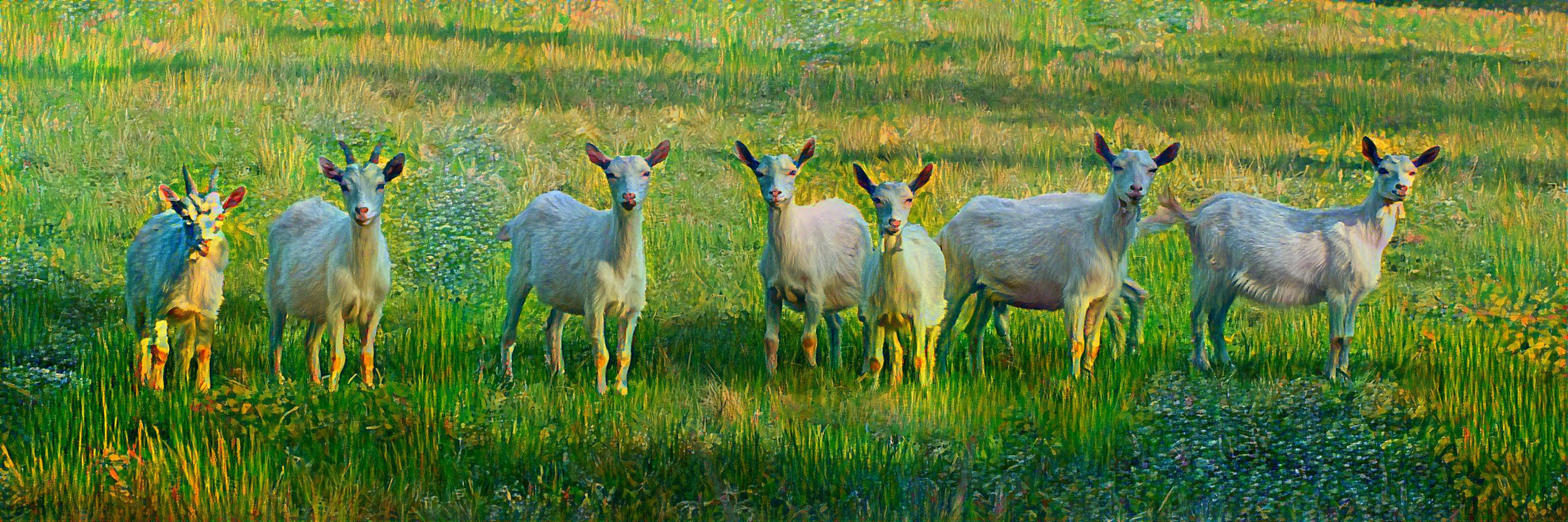 Peaceful Impressionistic Pasture