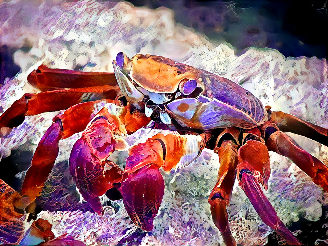 Crab 1 wc 12 adj 1