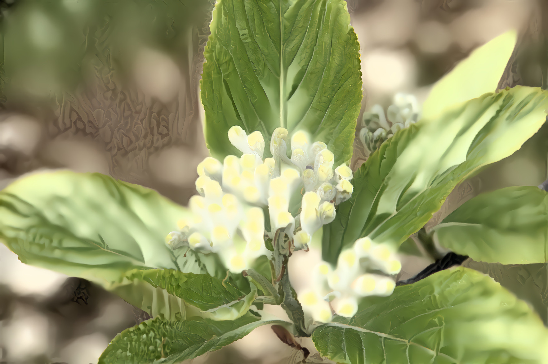 Green Leaves, Flowers