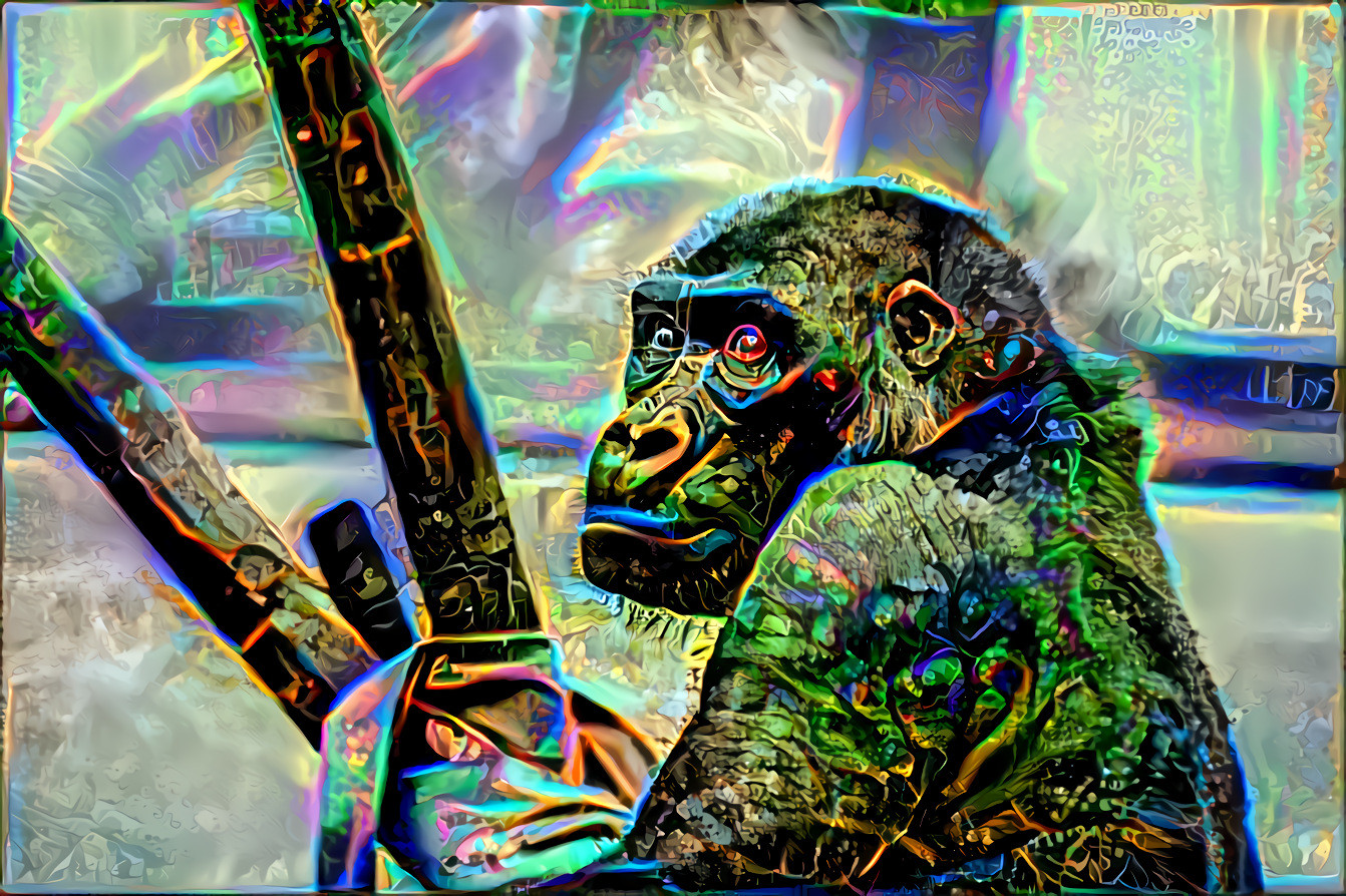 dark rainbow gorilla