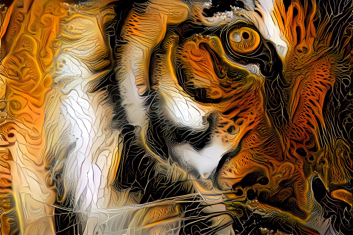 Eye of the Tiger