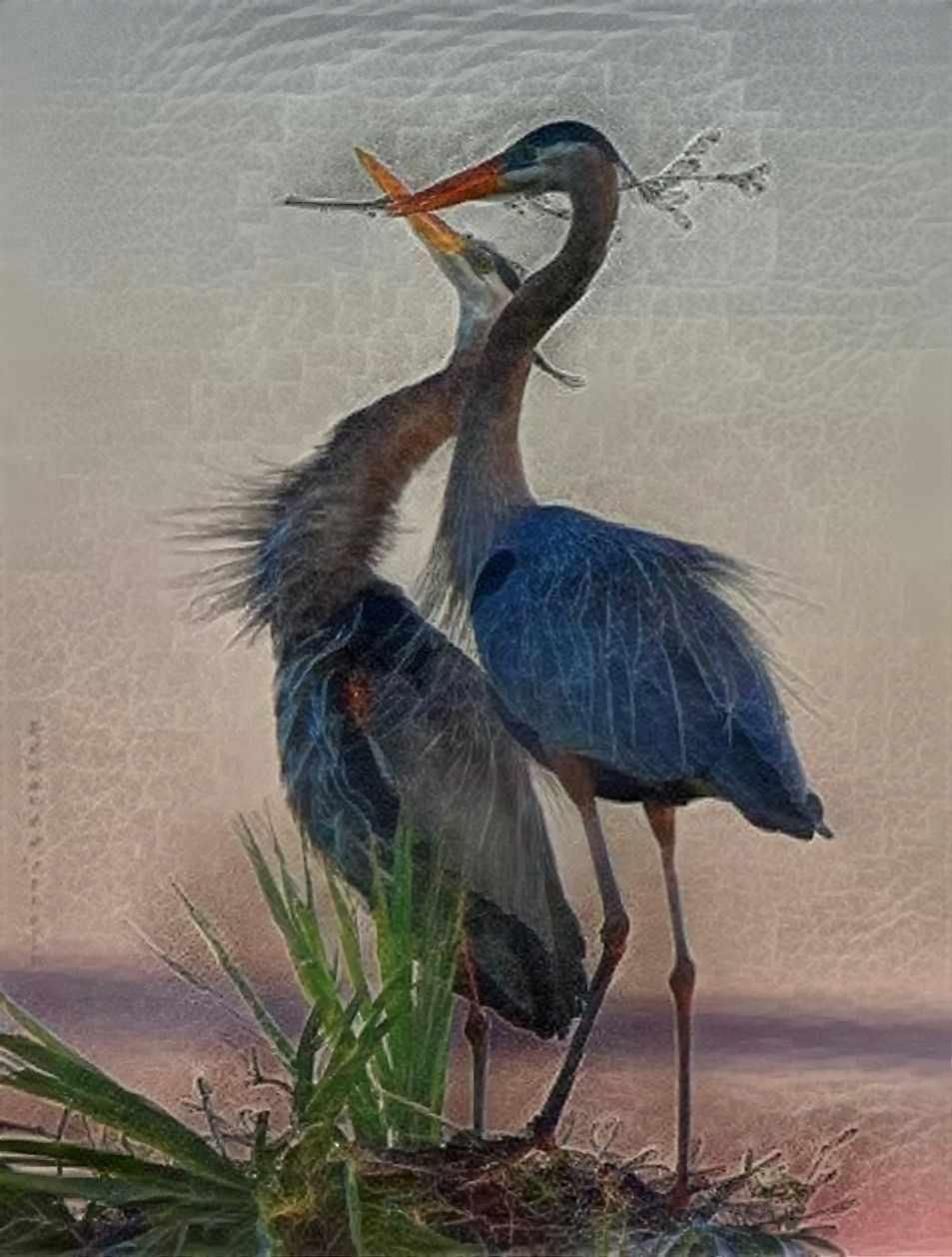 Blue Herons