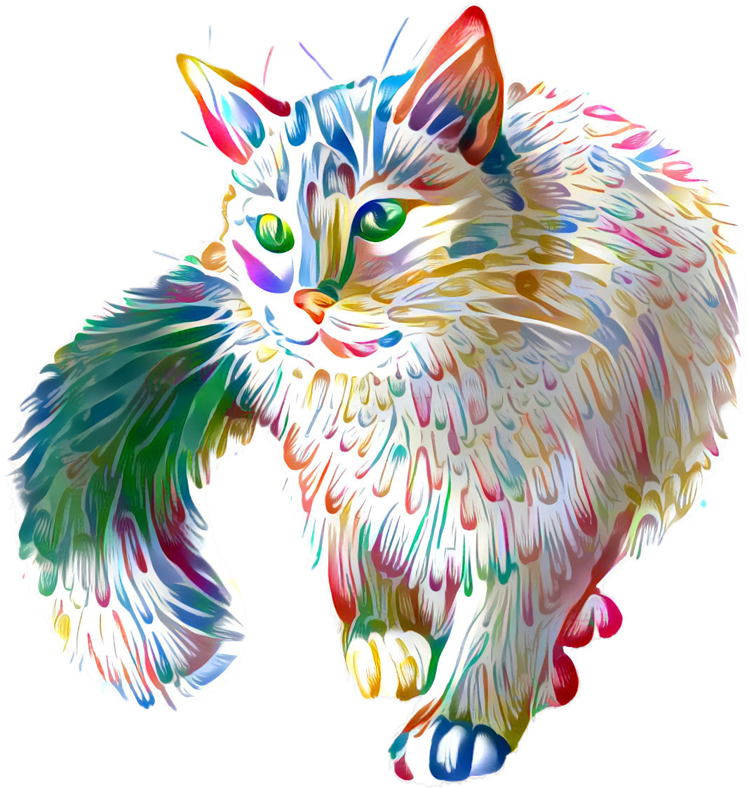 colour cat