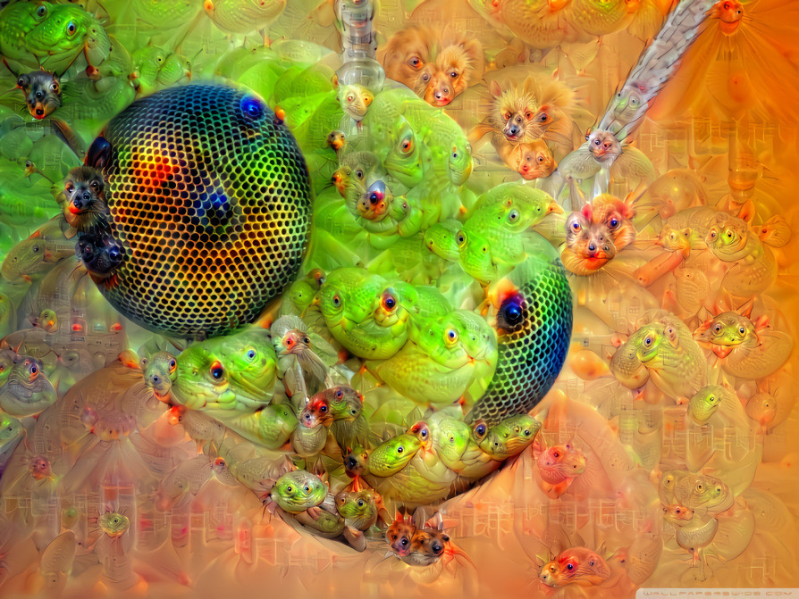 deep dream mantis