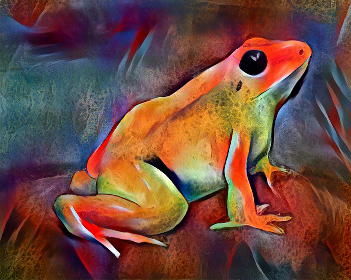 Frog On A Rock