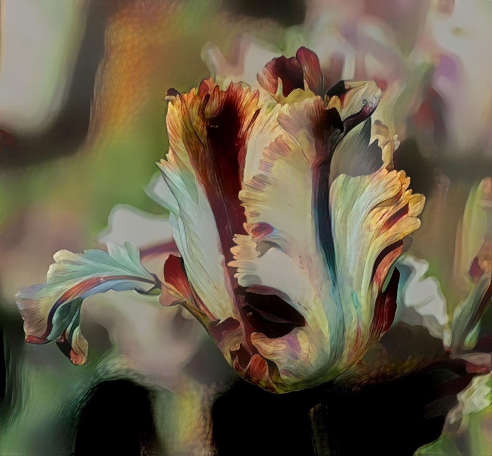 Tulip flower