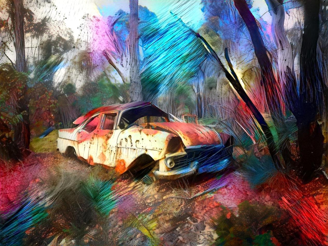 EK Holden found in the bush @ paintbrushes