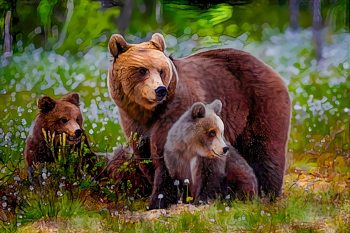 Brown Bear Mother and Cubs