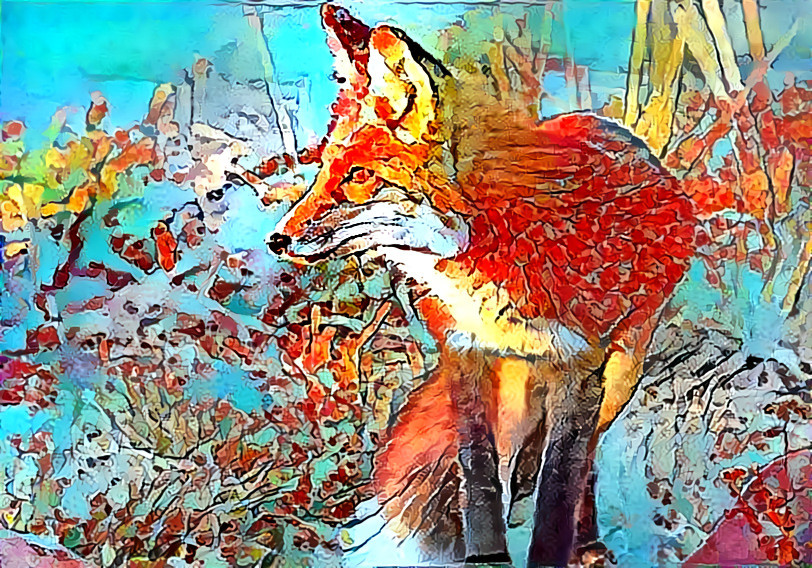 Fox