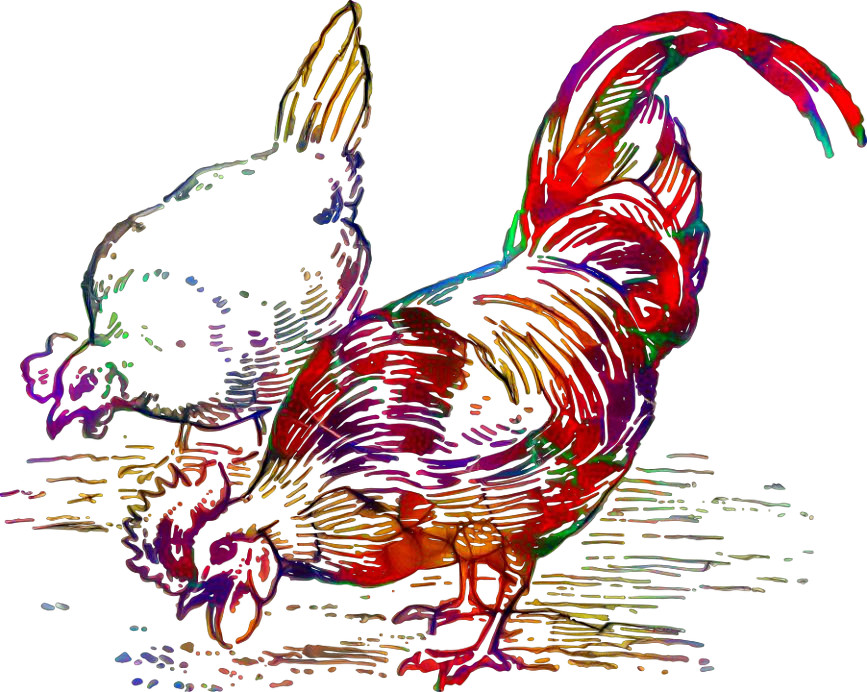 Hen & Rooster