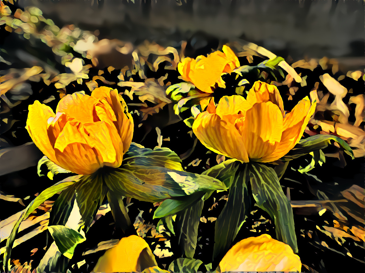 magnificent spring flowers