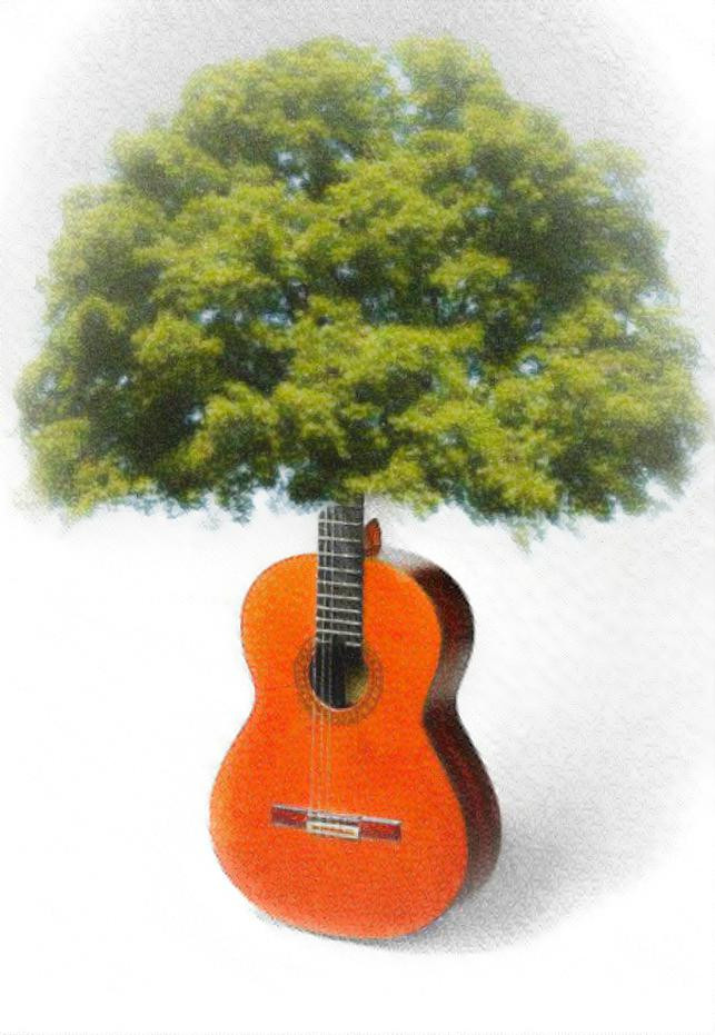 Flamenco guitar