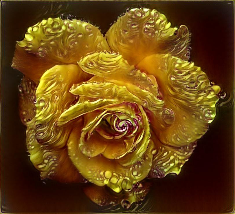 Yellow Rose