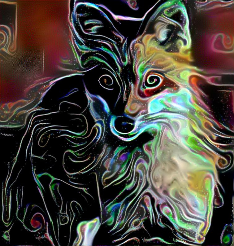 psycadelic fox