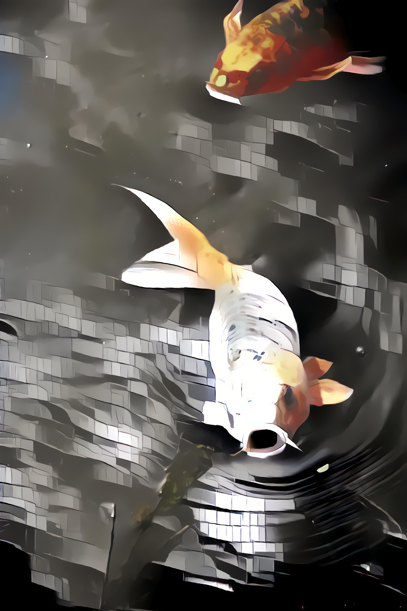 TomGrohovsky - Koi Fish 2