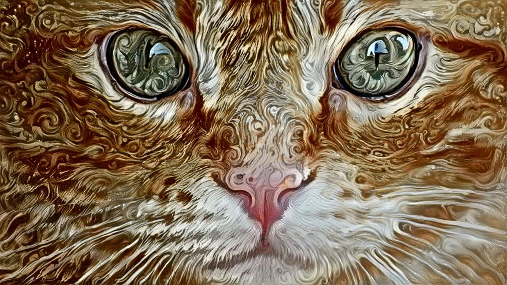 Deep Dream: Ginger Tom Cat (Ver.2)