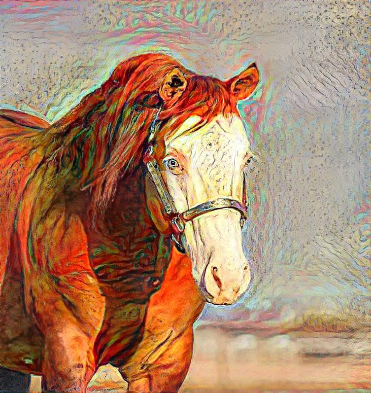 horse3