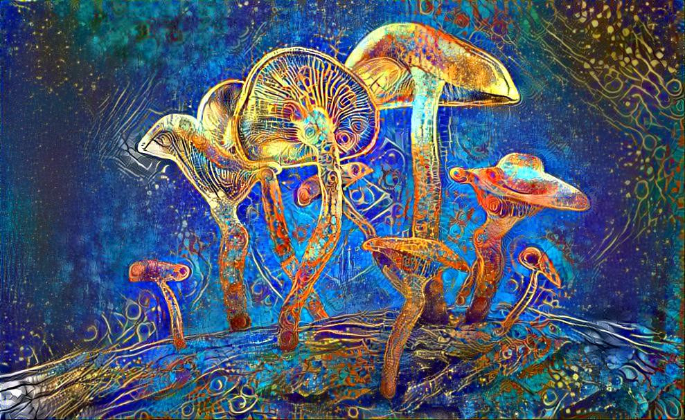 Mushrooms 