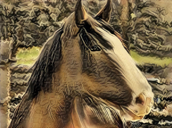 Clydesdale