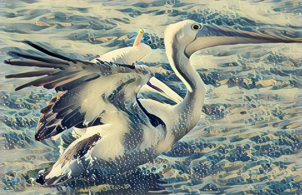 Pelican