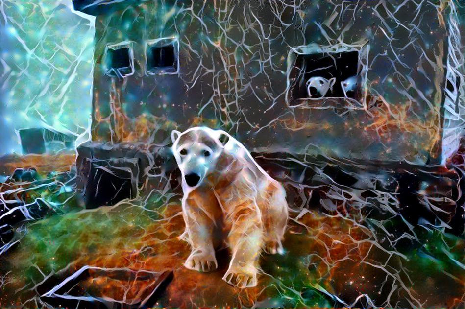 Polar Bears in abandoned Russian weather station