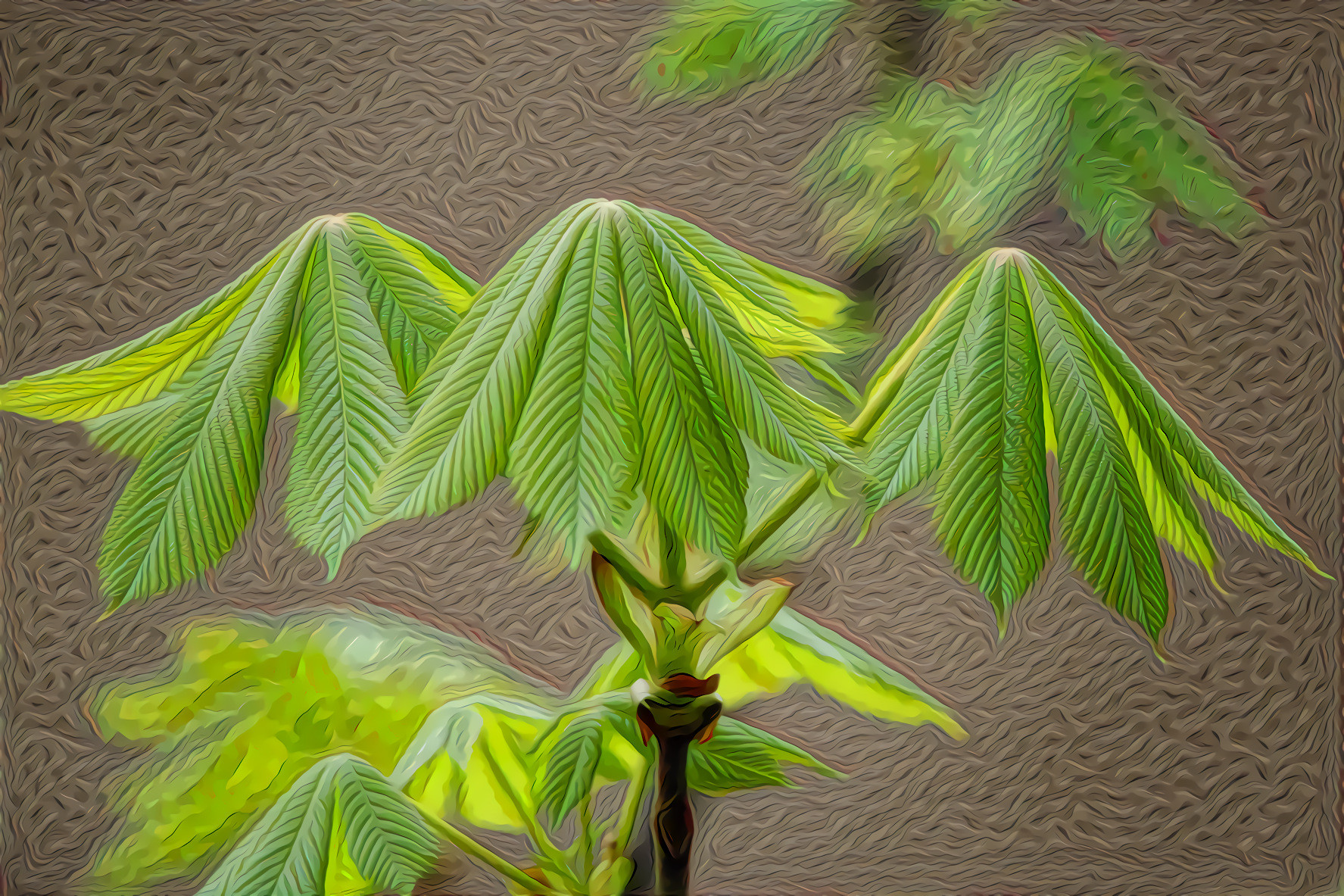 Tree Leaves