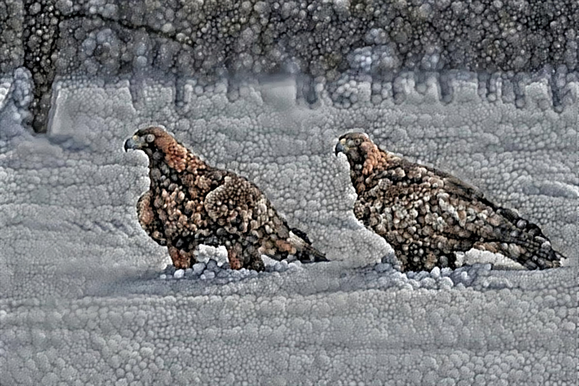 Winters Eagles