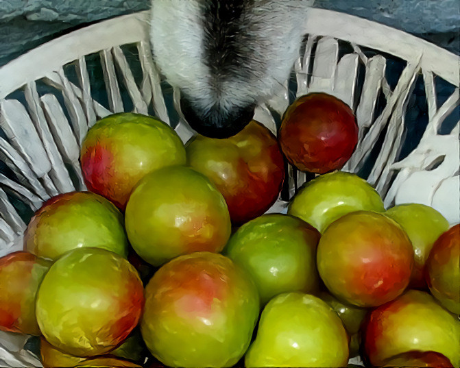 Plum Thief