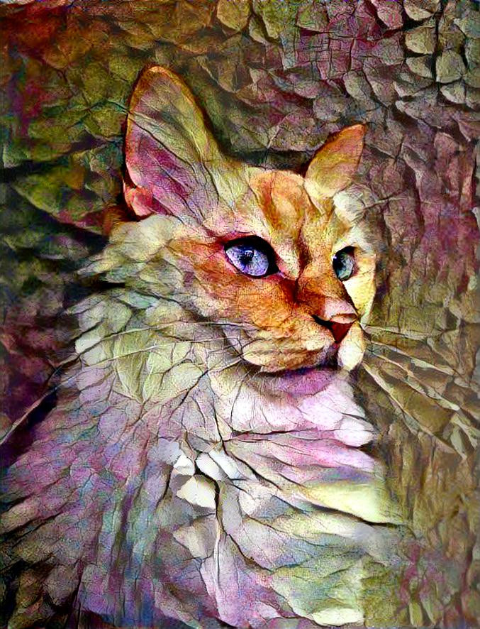 Painted Cat