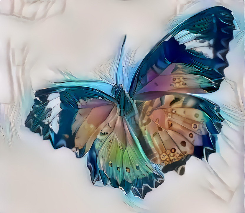 Butterfly