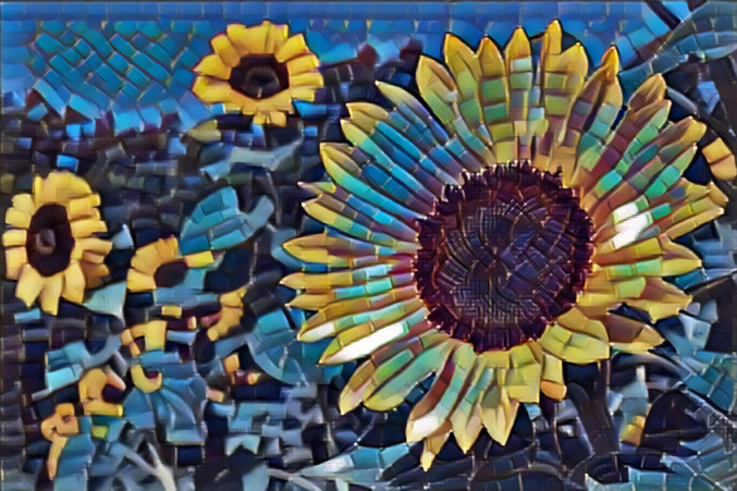 Sunflower Fields