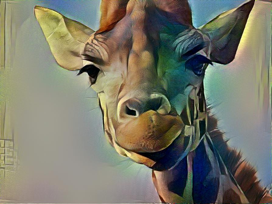 Giraffe 