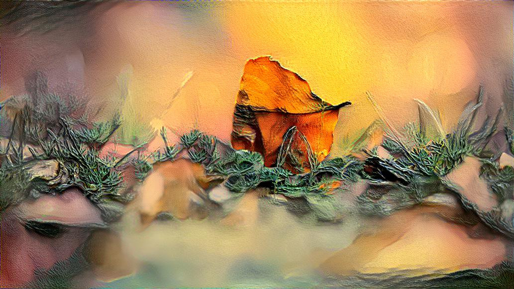 Crumpled Leaf