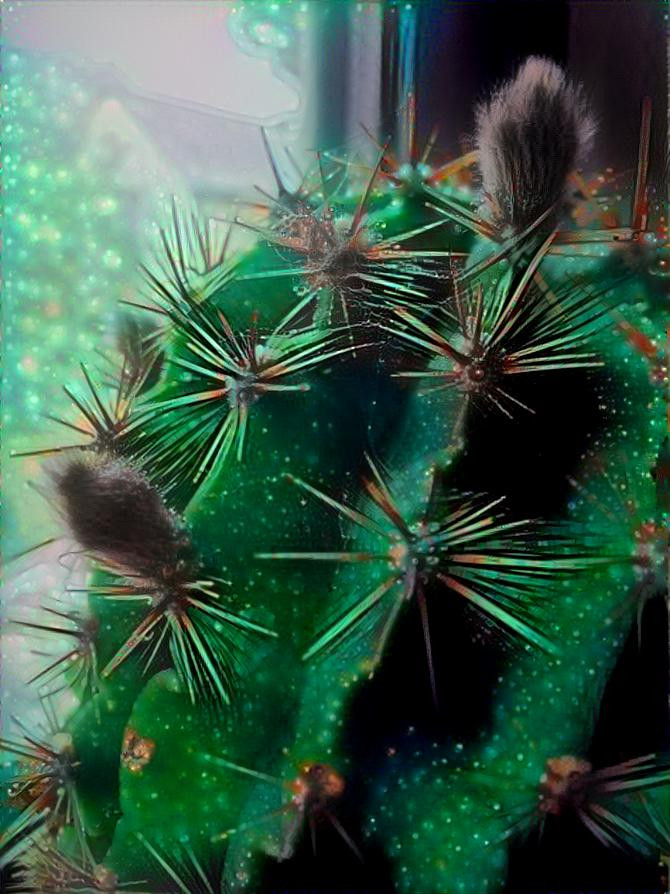 Magic Cactus