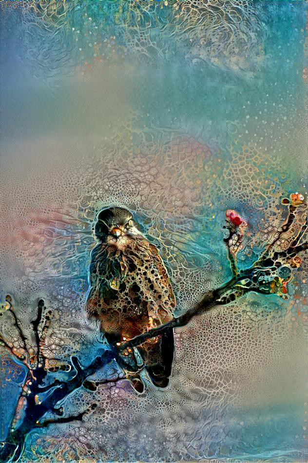 Kestrel sitting in a tree (own photo)