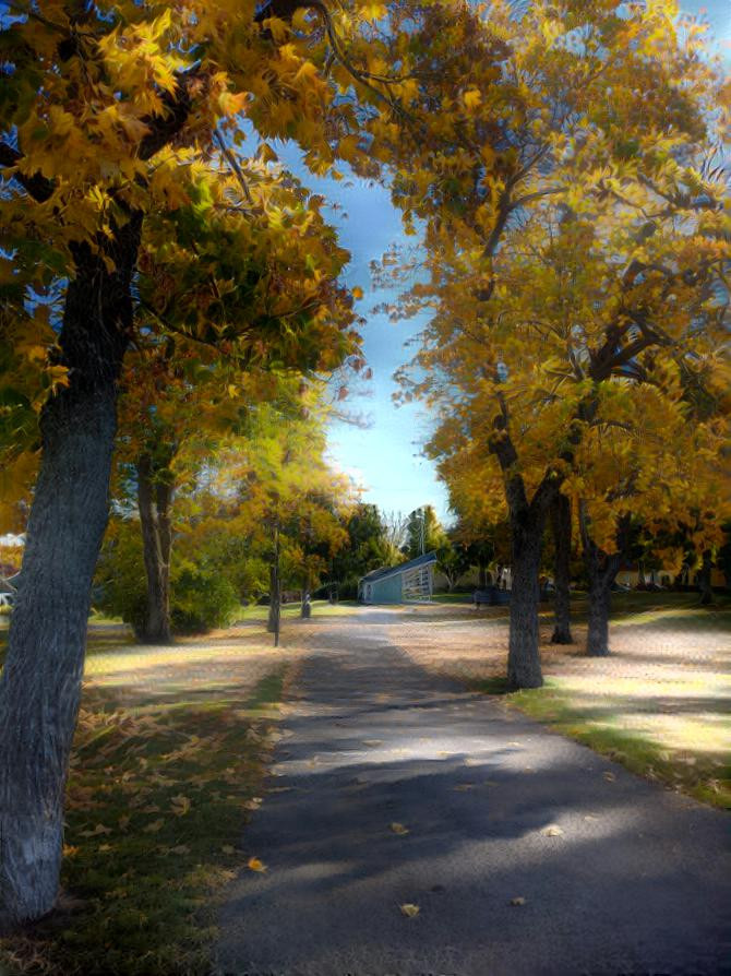 A walk in the park