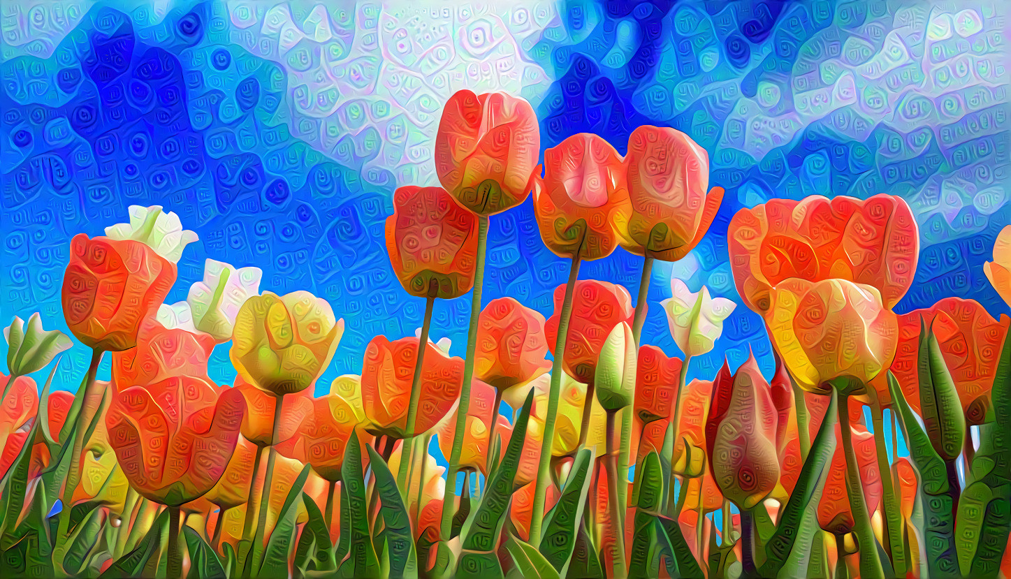 Red and Yellow Tulips