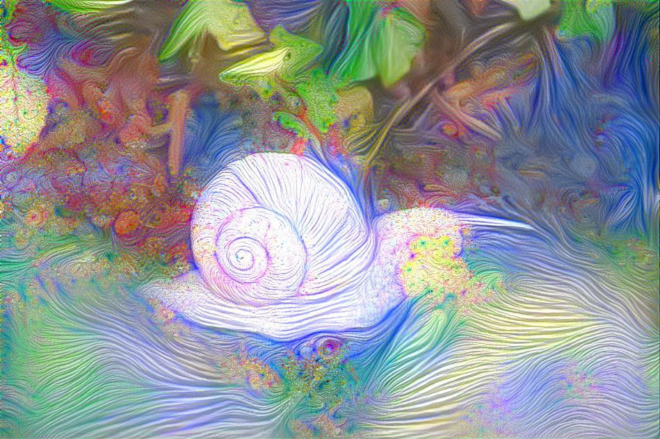 Flowing snail (own photo)