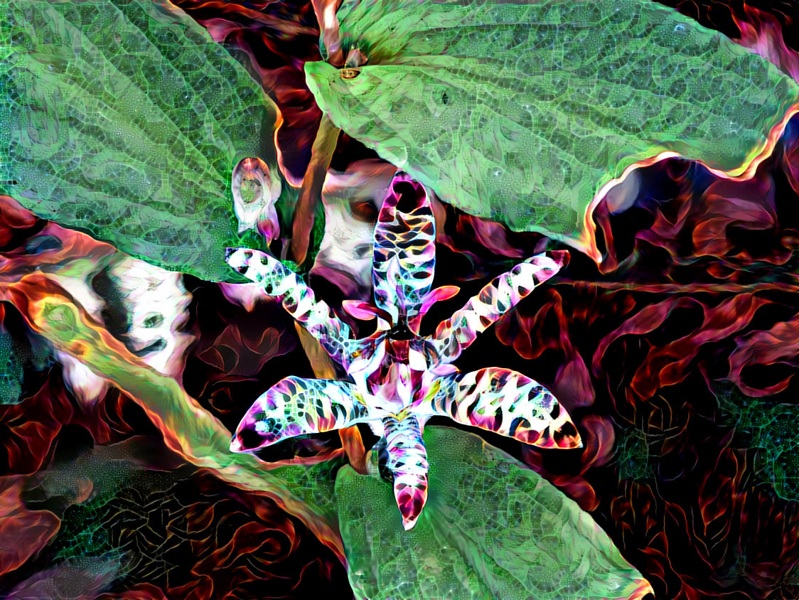 Tricyrtis-hirta-matzukaze renarena befunky 485