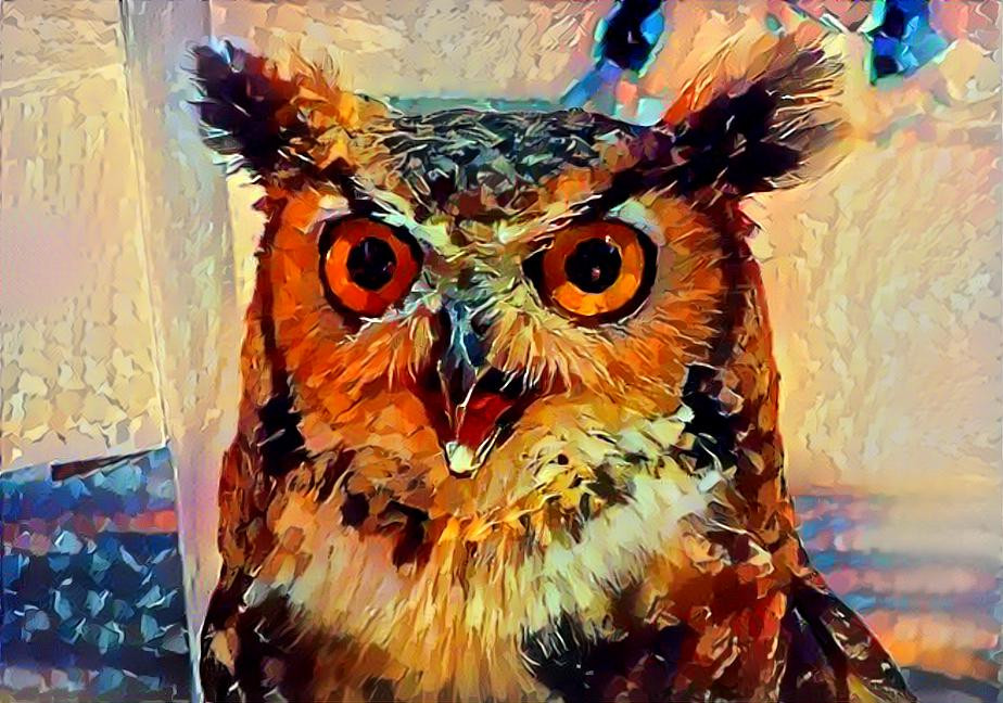 Wise, Bright Eye Owl