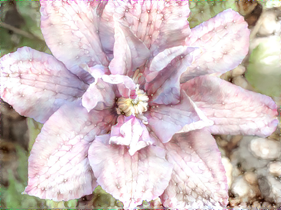 Frilly Flower