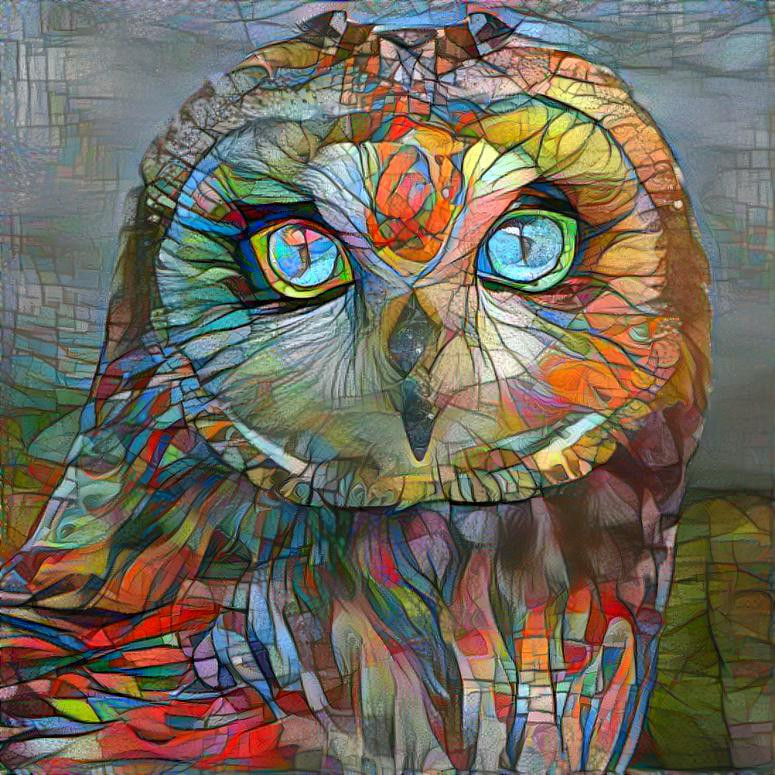 Owl