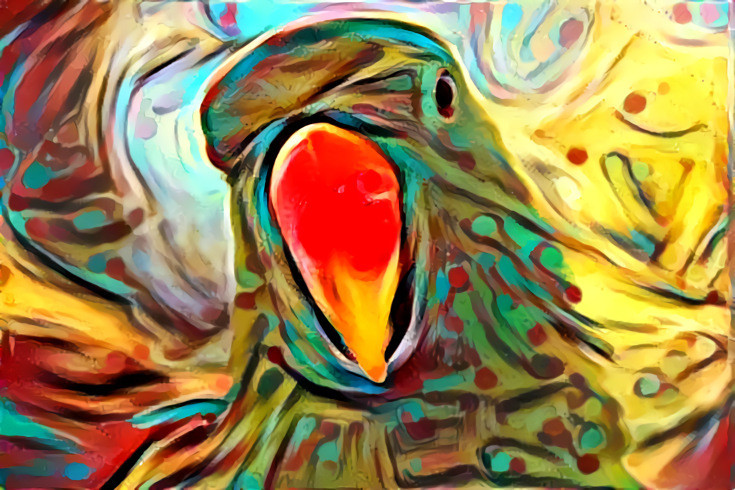 Painted Parrot