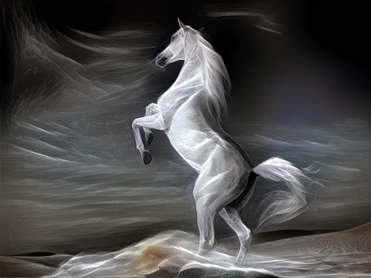 Spirit Horse