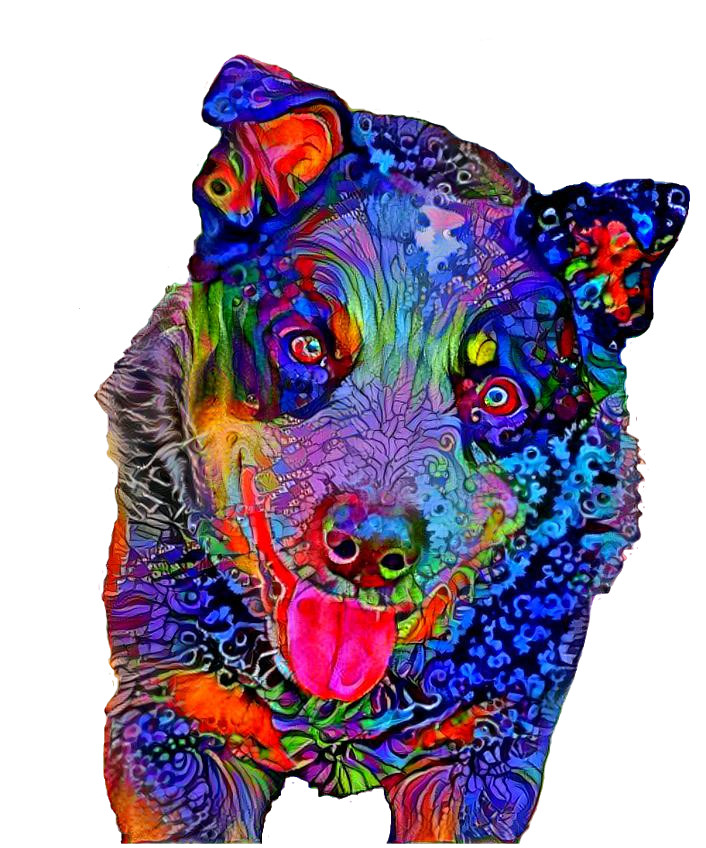 rainbowbluedog