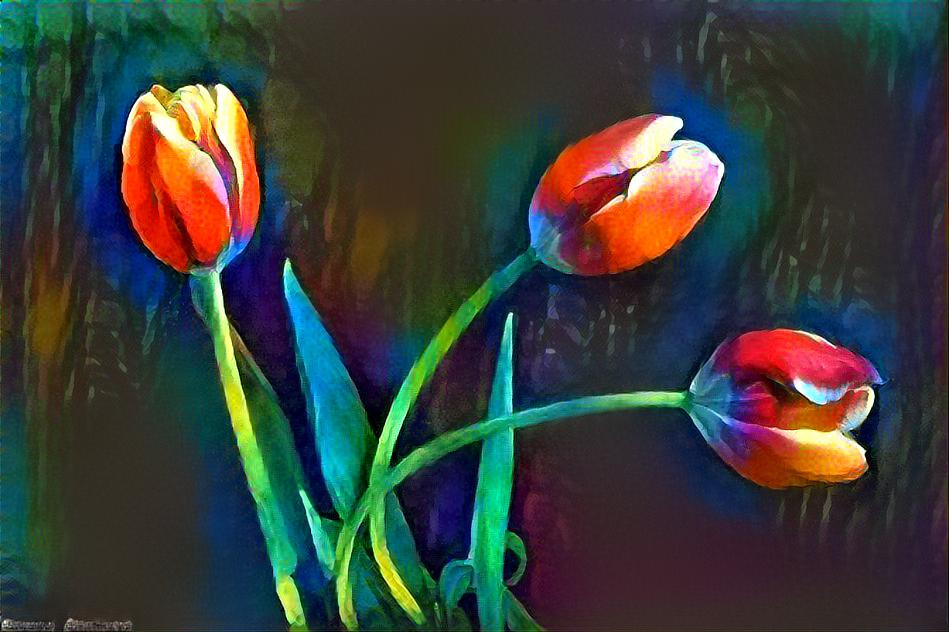 Tulips