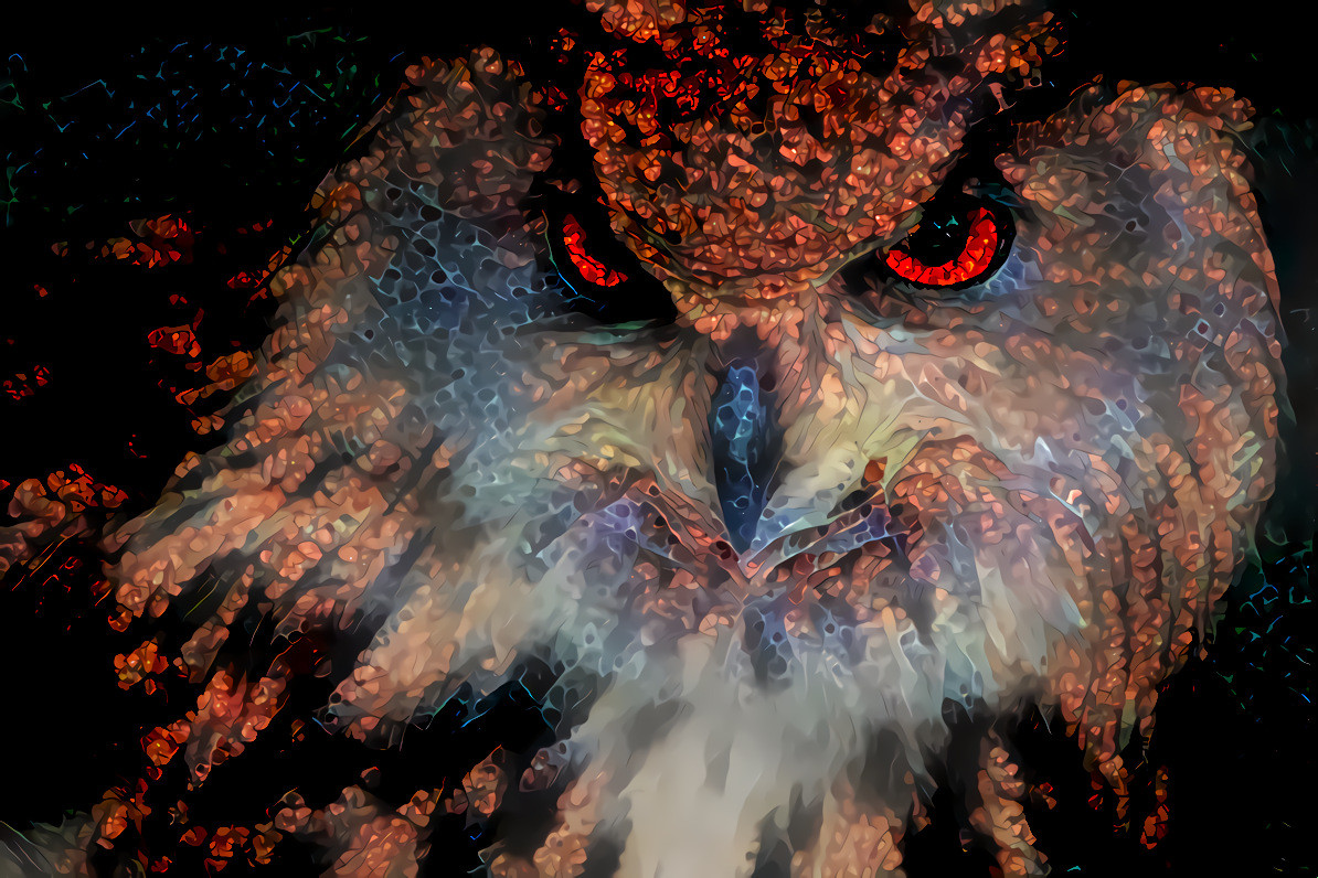 Eagle Owl, Newquay Owl Sanctuary