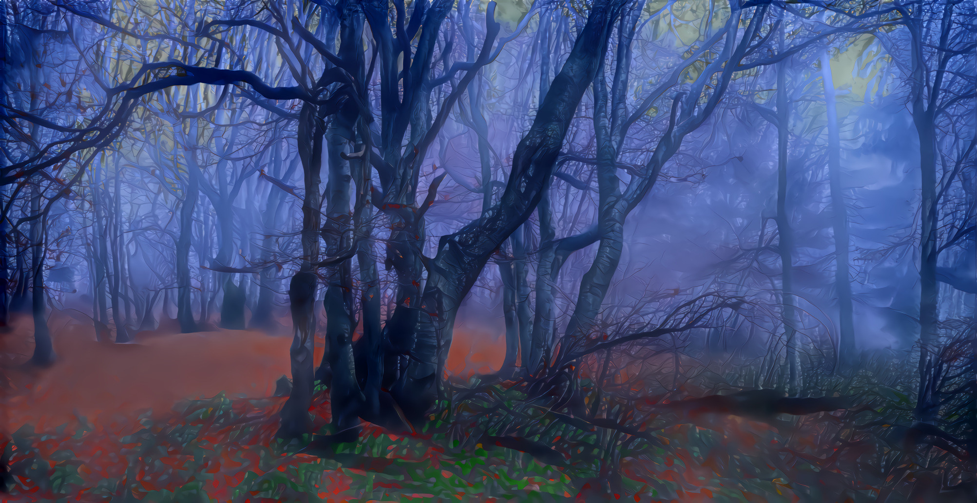 Autumn Beech Trees, Blue Fog