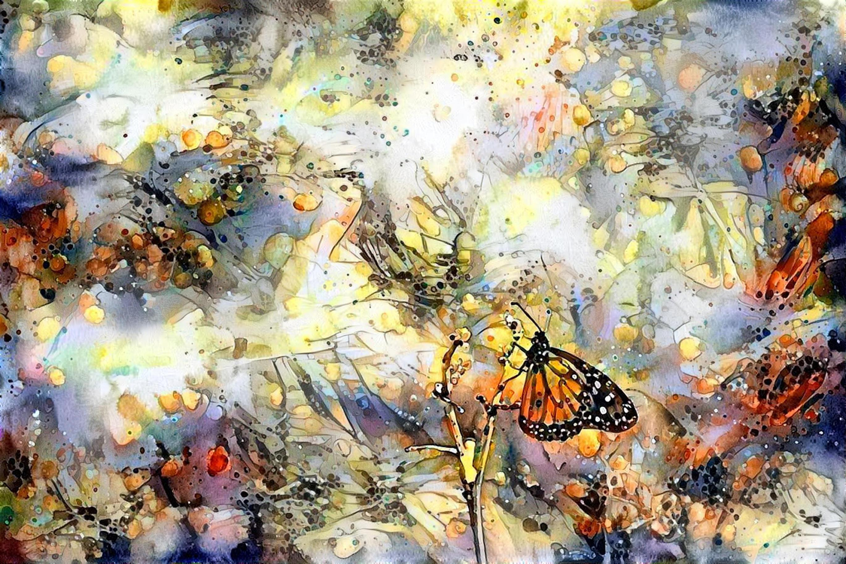 Monarch in spring meadow