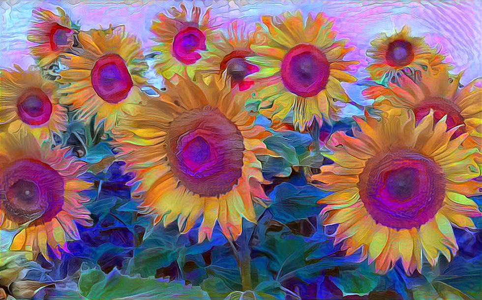 Sunflowers